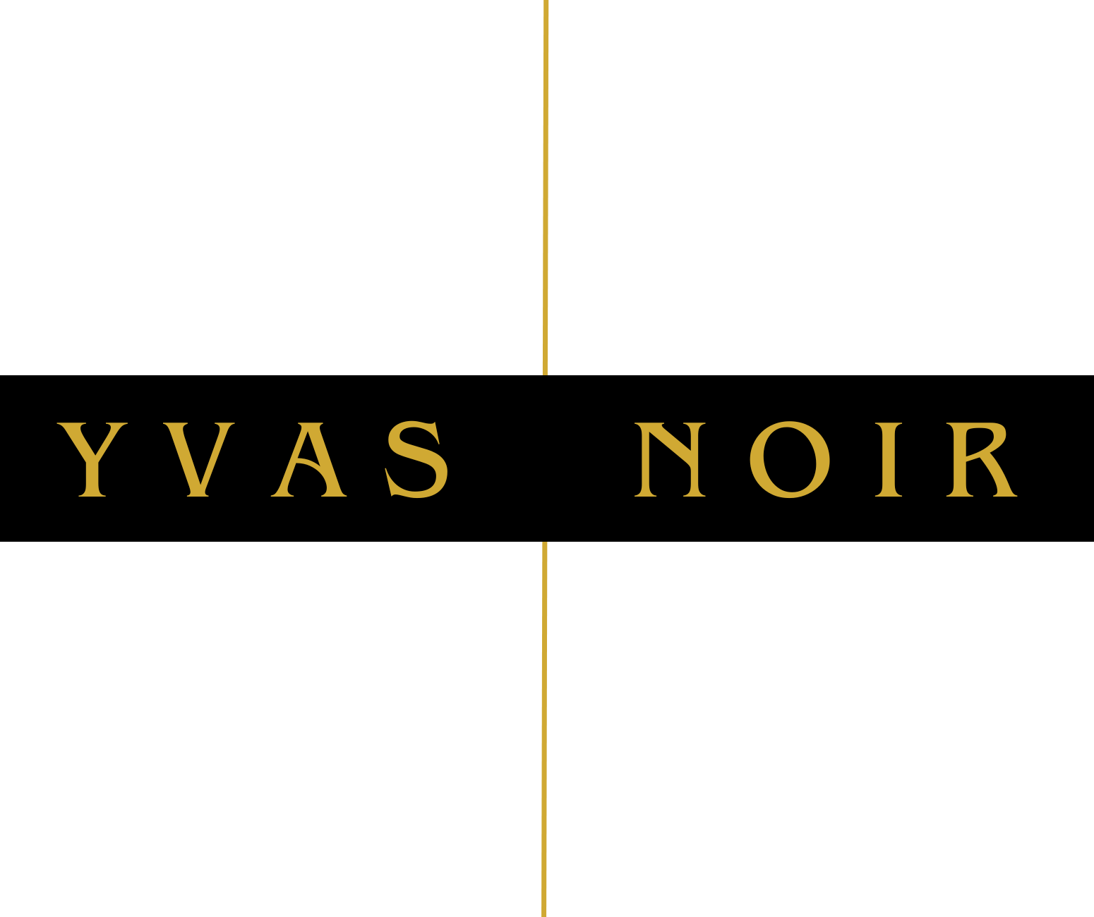 Yvas Noir logo